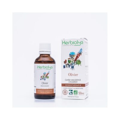 Extract muguri maslin BIO 50ml